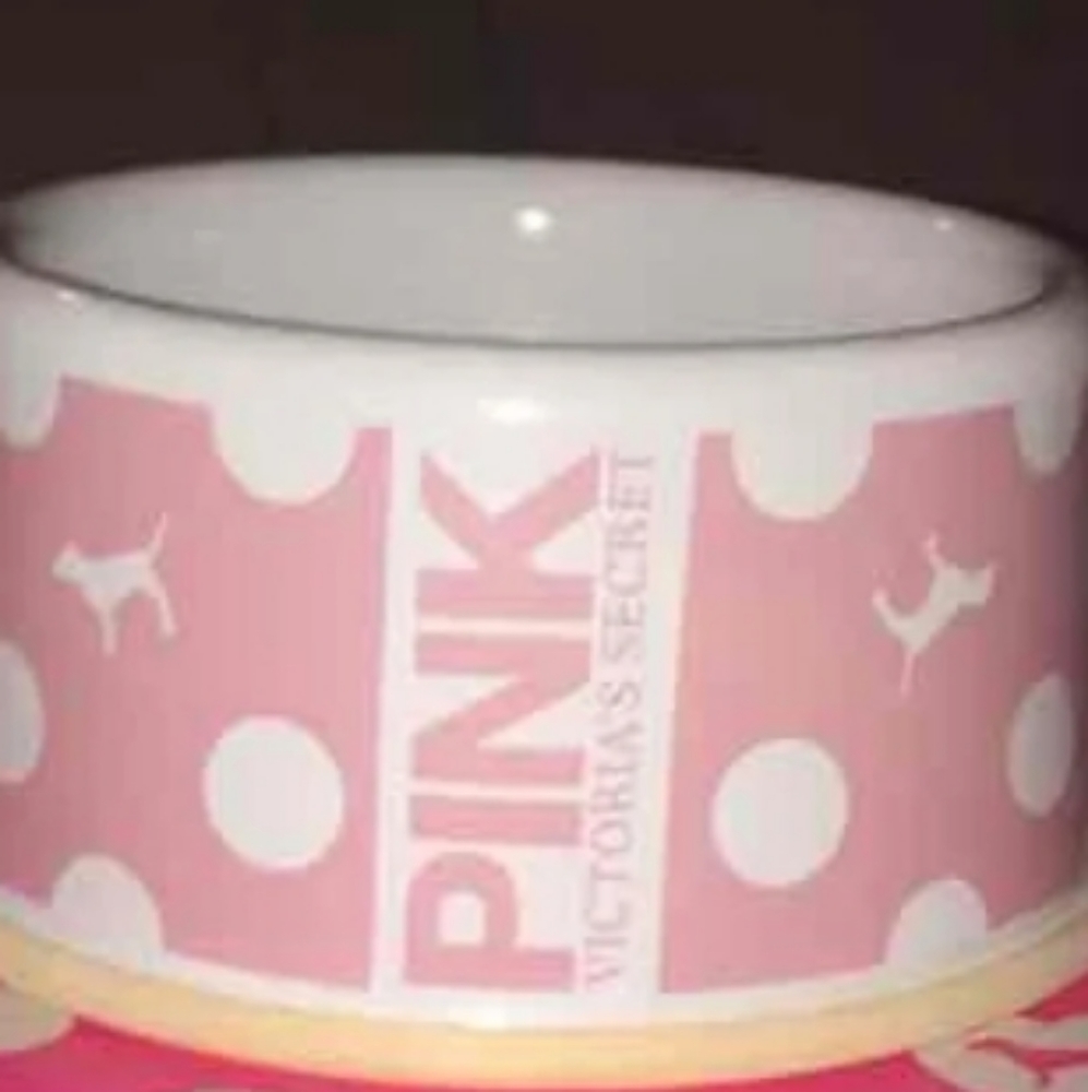 🐶DESPERATELY SEEKING🐶 THIS VS PINK DOG BOWL